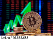 Монета криптовалюты биткойн на фоне зеленой стрелки, указывающей вверх. Стоковое фото, фотограф Сергей Елагин/Бизнес Online / ТАСС / Фотобанк Лори