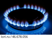 Зажженная конфорка на газовой плите. С. Стоковое фото, фотограф Елагин/Бизнес Online / ТАСС / Фотобанк Лори