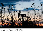 Нефтяной станок-качалка. Стоковое фото, фотограф О.Спиридонов/Бизнес Online / ТАСС / Фотобанк Лори