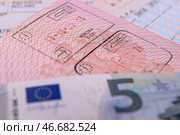 Штампы о пересечении границы в заграничном паспорте гражданина Российской Федерации и банкнота номиналом 5 евро. Стоковое фото, фотограф Сергей Булкин/NEWS.ru / ТАСС / Фотобанк Лори