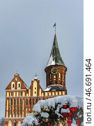 Kaliningrad, Kaliningrad Region Russia, February 16, 2025 Cathedral on the island of Kant in winter. Редакционное фото, фотограф Наталья Симакова / Фотобанк Лори