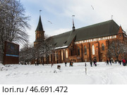 Kaliningrad, Kaliningrad Region Russia, February 16, 2025 Cathedral on the island of Kant in winter. Редакционное фото, фотограф Наталья Симакова / Фотобанк Лори