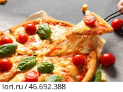 Бумажка для выпечки с вкусной пиццей маргарита на сером фоне. Стоковое фото, фотограф Pixel_shot / Фотобанк Лори