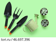 Инструменты для садоводства и суккулентные растения на зеленом фоне. Стоковое фото, фотограф Pixel_shot / Фотобанк Лори