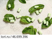 Свежая жвачка с мятой на грубом фоне. Стоковое фото, фотограф Pixel_shot / Фотобанк Лори