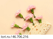 Креативная композиция с цветами лепешки и гвоздики на цветном фоне, крупным планом. Стоковое фото, фотограф Pixel_shot / Фотобанк Лори