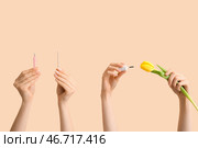 Женские руки с кисточкой для масла для кутикулы, резаком и тюльпаном на бежевом фоне. Стоковое фото, фотограф Pixel_shot / Фотобанк Лори