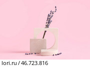 Декоративные подиумы с лавандовыми цветами на розовом фоне. Стоковое фото, фотограф Pixel_shot / Фотобанк Лори