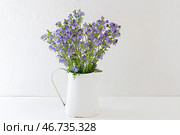 Bouquet of wild flowers polemonium in a white vintage jug. Стоковое фото, фотограф Elena Grishina / Фотобанк Лори
