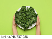Женские руки с белой деревянной доской свежих листьев капусты кейл на зеленом фоне. Стоковое фото, фотограф Pixel_shot / Фотобанк Лори