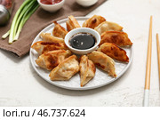 Тарелка с жареными японскими гёдзами и миска с соевым соусом и зелёным луком на белом фоне, крупный план. Стоковое фото, фотограф Pixel_shot / Фотобанк Лори