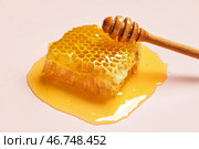 Сладкий медовый сот и медовый погребец на розовом фоне. Стоковое фото, фотограф Pixel_shot / Фотобанк Лори