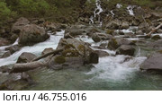 Stream and waterfall in spring forest in Slovenia. Стоковое видео, видеограф Михаил Коханчиков / Фотобанк Лори