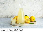 Доска с бутылкой и рюмкой вкусного лимончелло на белом фоне. Стоковое фото, фотограф Pixel_shot / Фотобанк Лори