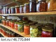 Стеклянные банки с консервированными продуктами на полках в кладовке. Стоковое фото, фотограф Наталья Шатохина/NEWS.ru / ТАСС / Фотобанк Лори