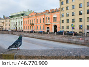 На набережной. Река Мойка. Петербург. Стоковое фото, фотограф Александр Алексеев / Фотобанк Лори