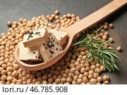 Ложка с вкусным сыром тофу на сером столе. Стоковое фото, фотограф Pixel_shot / Фотобанк Лори