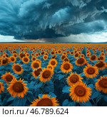 An endless field of bright sunflowers with unusual blue-green leaves, over which hangs a dramatic stormy sky. The contrast between the warm yellow of the flowers and the cool shade of the foliage creates a spectacular visual balance. Heavy dark clouds are gathering on the horizon, foreshadowing a storm. In the distance, a rain front is visible, hidden behind a thick curtain of precipitation. The atmosphere of the photo is filled with tension, but at the same time with natural harmony. Стоковое AI-изображение, AI-художник Анна Кривицкая / Фотобанк Лори