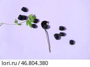 Ложка с вкусным ежевичным джемом и ягодами на цветном фоне. Стоковое фото, фотограф Pixel_shot / Фотобанк Лори