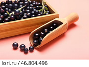 Деревянная коробка с черпаком и черной смородиной на цветном фоне, крупным планом. Стоковое фото, фотограф Pixel_shot / Фотобанк Лори