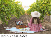 Молодая женщина устраивает романтический пикник на винограднике. Стоковое фото, фотограф Pixel_shot / Фотобанк Лори
