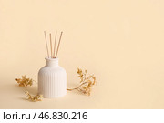 Флористический диффузор и гортензия на бежевом фоне. Стоковое фото, фотограф Pixel_shot / Фотобанк Лори