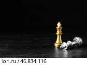 Шахматные фигуры на темном фоне. Концепция неудачника. Стоковое фото, фотограф Pixel_shot / Фотобанк Лори