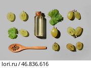 Композиция с маслом из виноградных косточек на сером фоне. Стоковое фото, фотограф Pixel_shot / Фотобанк Лори