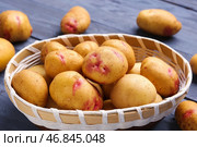 Корзина из ивового прута с свежими сырыми картофелем на голубом деревянном фоне. Стоковое фото, фотограф Pixel_shot / Фотобанк Лори