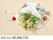 Сетчатый мешок с свежей клубникой и красивыми цветами ромашки на бежевом фоне, крупным планом. Стоковое фото, фотограф Pixel_shot / Фотобанк Лори