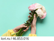 Женские руки с красивым букетом цветов ранункулюса и эвкалипта на бирюзовом фоне. Стоковое фото, фотограф Pixel_shot / Фотобанк Лори