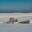 Landscape in a minimalist style. Hilly landscape covered with snow. There are dark silhouettes of trees in the foreground. A sunny winter day. Стоковое фото, фотограф Владимир Ендовицкий / Фотобанк Лори