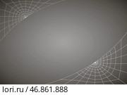 Concentric white web on a gray background. Стоковая иллюстрация, иллюстратор Vladislav_v / Фотобанк Лори