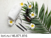 Композиция с бутылочками масла для кутикулы, маникюрными инструментами, пальмовым листом и цветами на светлом фоне. Стоковое фото, фотограф Pixel_shot / Фотобанк Лори