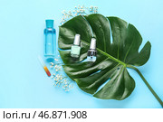 Композиция с бутылочками масла для кутикулы, цветами гипсофилы и пальмовым листом на цветном фоне. Стоковое фото, фотограф Pixel_shot / Фотобанк Лори