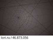 Concentric white web on a gray background. Стоковая иллюстрация, иллюстратор Vladislav_v / Фотобанк Лори