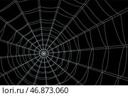 Concentric white web on a gray background. Стоковая иллюстрация, иллюстратор Vladislav_v / Фотобанк Лори