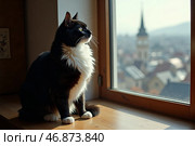 Кошка сидит на подоконнике  и смотрит в окно. Стоковое AI-изображение, AI-художник Валентина Клепикова / Фотобанк Лори