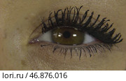 Closeup of beautiful woman eye with bright stylish makeup with long lashes. Стоковое фото, фотограф David Kashakhi / Фотобанк Лори