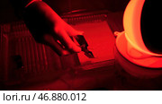 Darkroom printing process photographer using enlarger to produce photographic prints. Стоковое фото, фотограф David Kashakhi / Фотобанк Лори