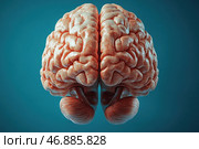 A detailed 3D rendering of the human brain. The hemispheres of the brain are clearly separated, with convolutions and blood vessels visible. The lower part, the cerebellum, has a texture reminiscent of fibers. The background of the image is a deep blue-green, which creates a contrast with the warm tones of the brain. The image looks realistic, but with artistic elements that emphasize its complex structure. Стоковое AI-изображение, AI-художник Анна Кривицкая / Фотобанк Лори