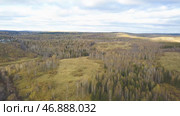 High angle view of a road trough the autumn forest. Стоковое фото, фотограф David Kashakhi / Фотобанк Лори