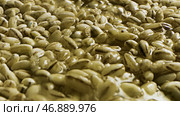 A pile of many green unroasted ethiopian coffee seeds for the beverage preparation. Стоковое фото, фотограф David Kashakhi / Фотобанк Лори