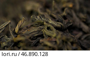 background texture of Sencha green tea - fresh, sweet, delicate tea. Стоковое фото, фотограф David Kashakhi / Фотобанк Лори