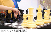 Close up for people playing giant chess, board games concept. Стоковое фото, фотограф David Kashakhi / Фотобанк Лори