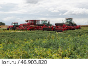 Kaliningrad, RUSSIA - July 29, 2022: Agricultural Exhibition. Agricultural machinery in the field. Редакционное фото, фотограф Ольга Сейфутдинова / Фотобанк Лори