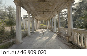 Beautiful perspective with columns of abandoned building. Стоковое фото, фотограф David Kashakhi / Фотобанк Лори