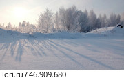 Winter landscape with frosty bushes and trees in the sunny morning, tranquil winter nature in sunlight. Стоковое фото, фотограф David Kashakhi / Фотобанк Лори