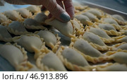 Modeling of various dumplings and meat pies that lie frozen on a tray. Стоковое фото, фотограф David Kashakhi / Фотобанк Лори
