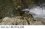 Bubbling clear water running over the rocks. Стоковое фото, фотограф David Kashakhi / Фотобанк Лори